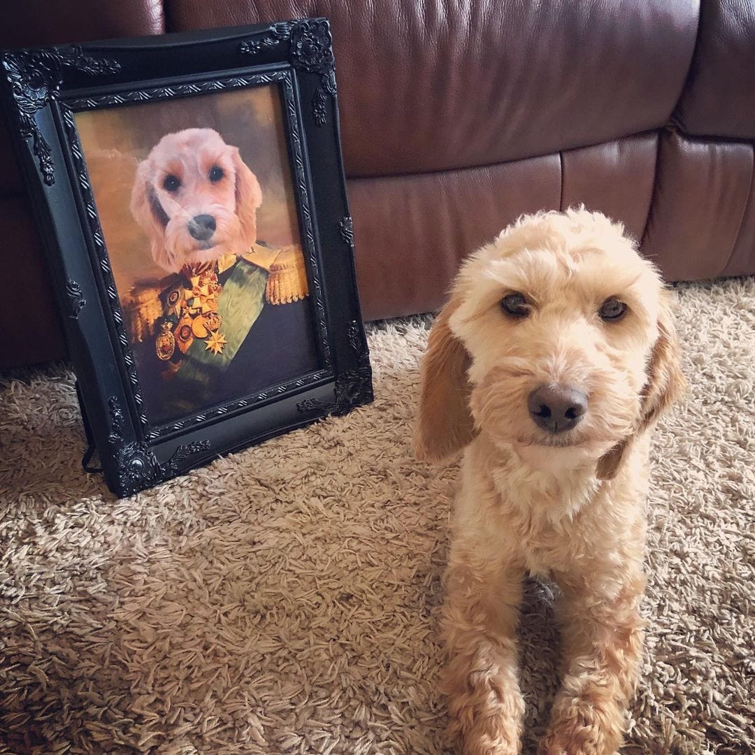 The Colonel - Custom Pet Poster