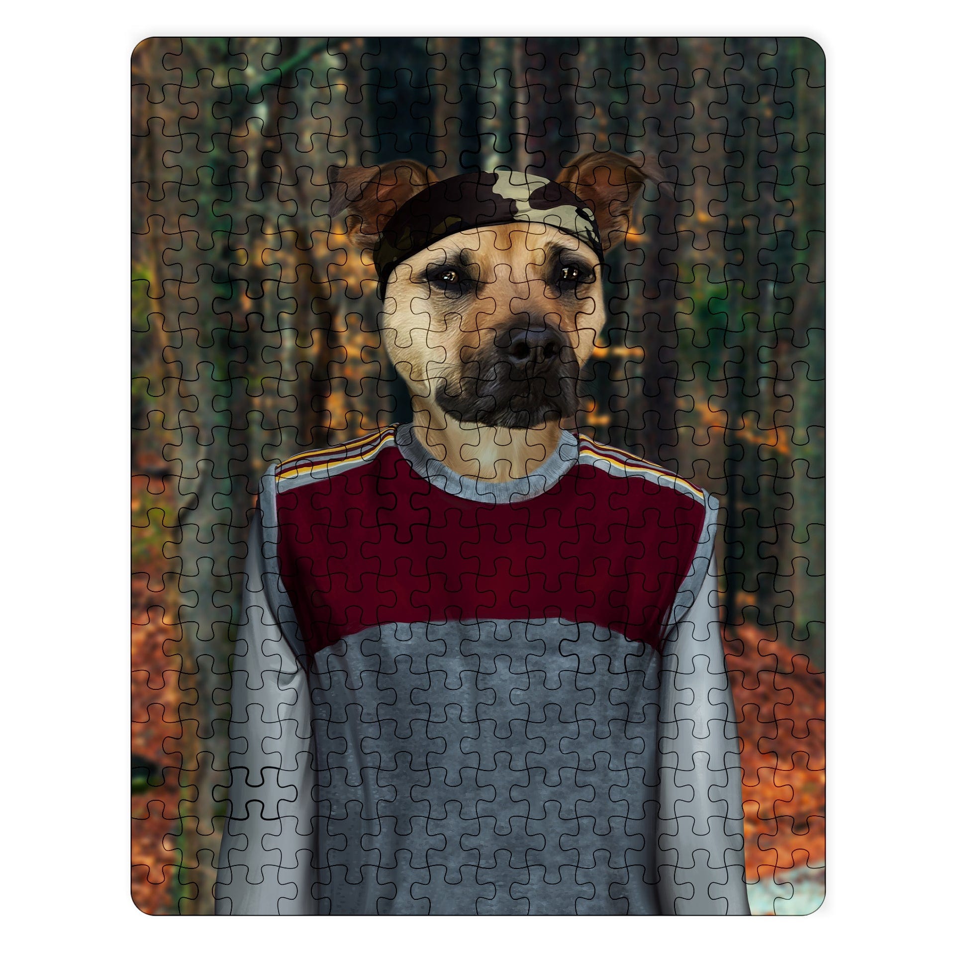 Royal and Paws - Puzzle The Cool Friend - Custom Puzzle 11" x 14" / The Woods