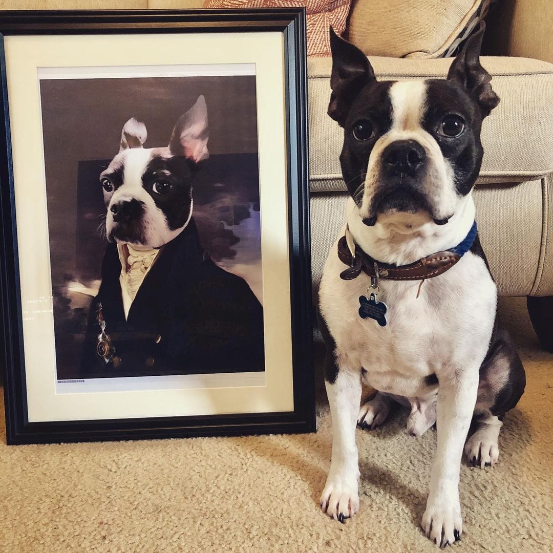 The Count - Custom Pet Poster