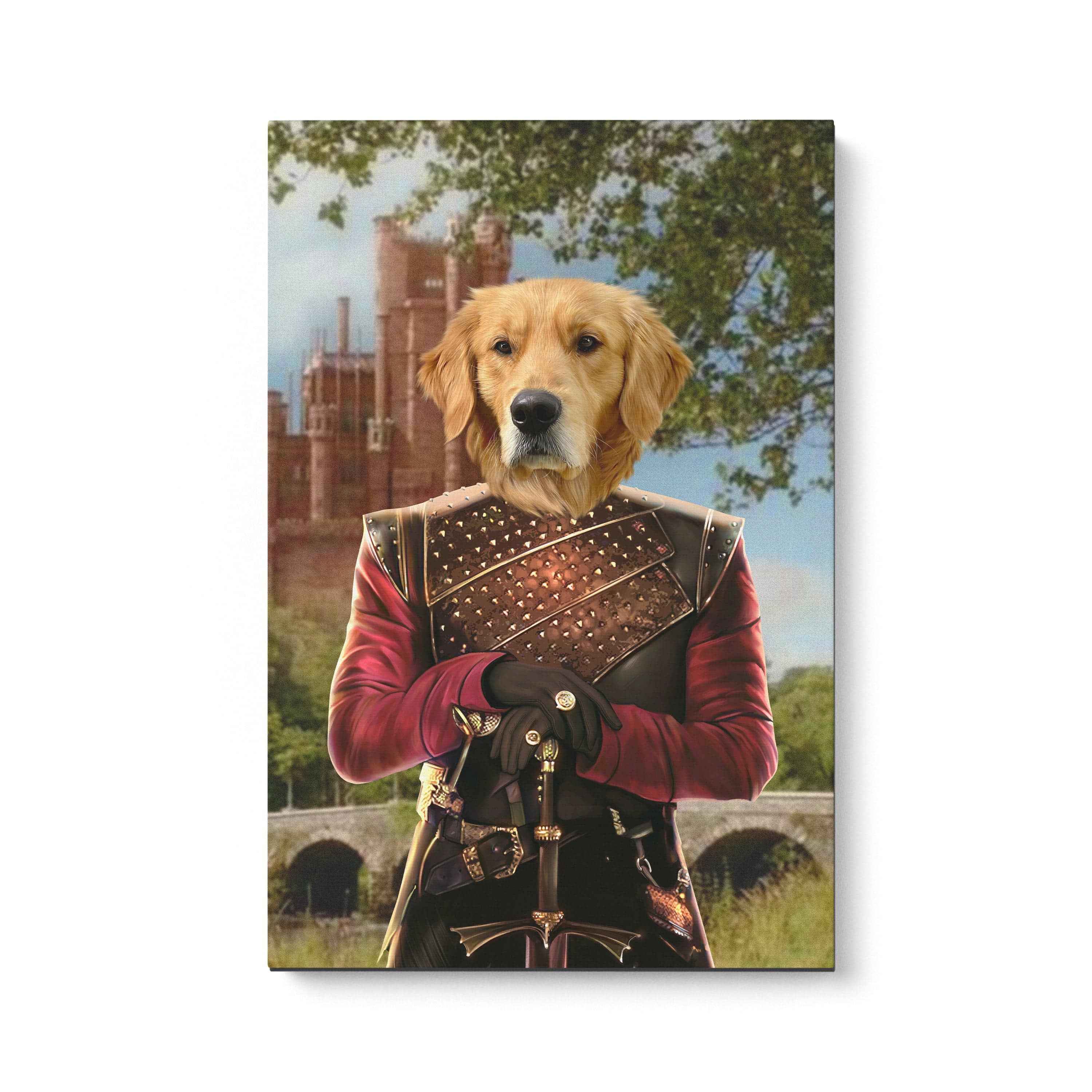 The Dragon Prince - Custom Pet Canvas