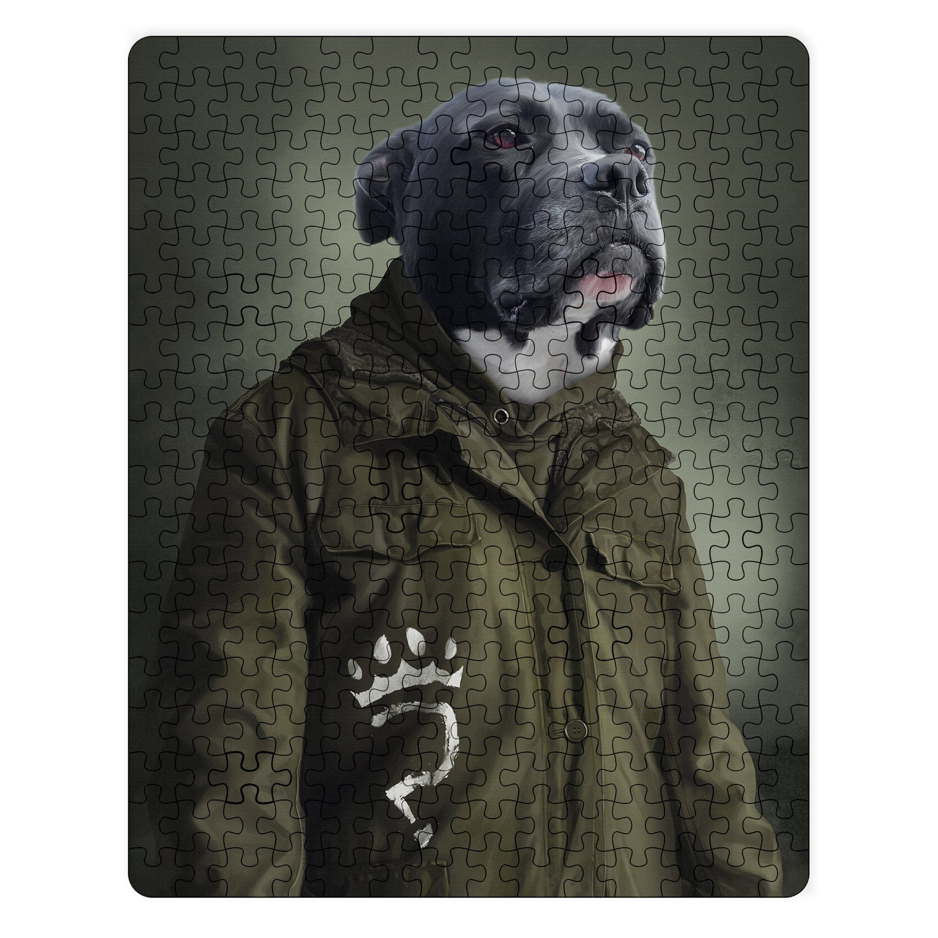 The Enigma - Custom Puzzle