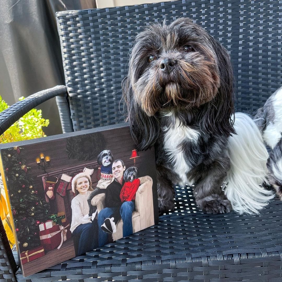 The Family Christmas (Four Pets) - Custom Pet Canvas