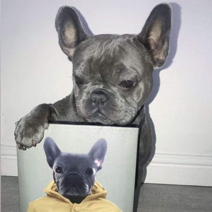 Custom Royal and Paws Halloween Pet Portrait