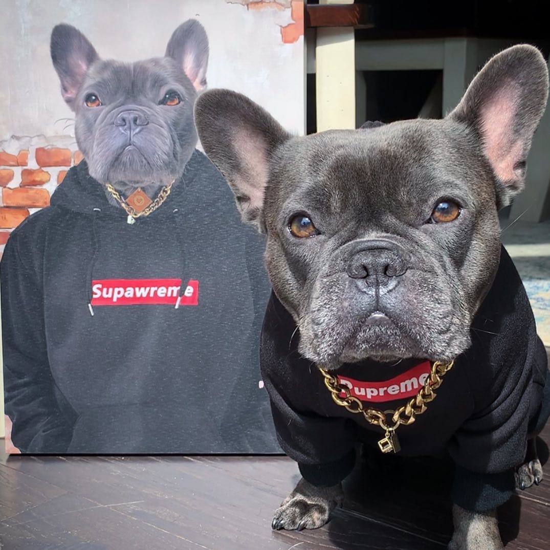 The Hypebeast - Custom Pet Canvas