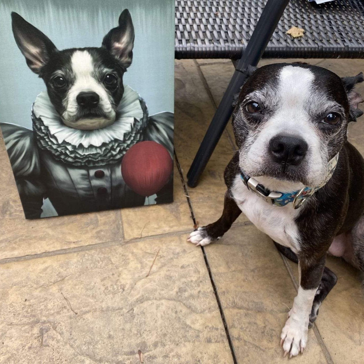 Custom Royal and Paws Halloween Pet Portrait