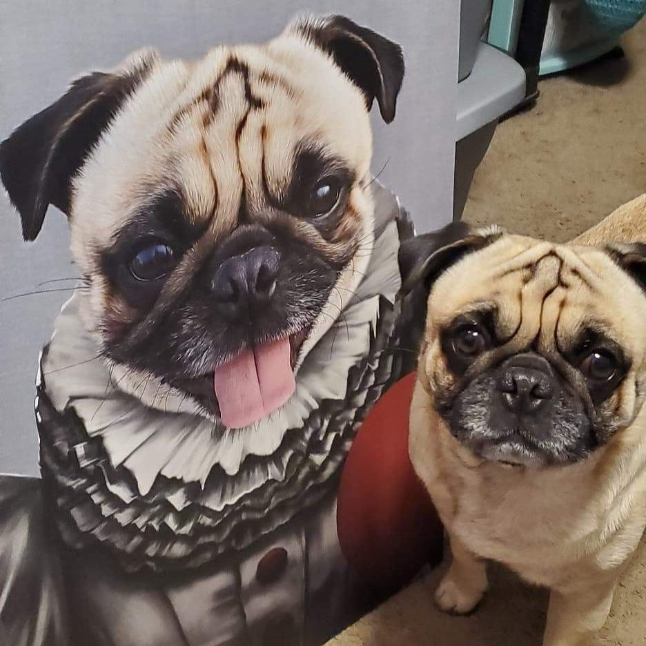 Custom Royal and Paws Halloween Pet Portrait