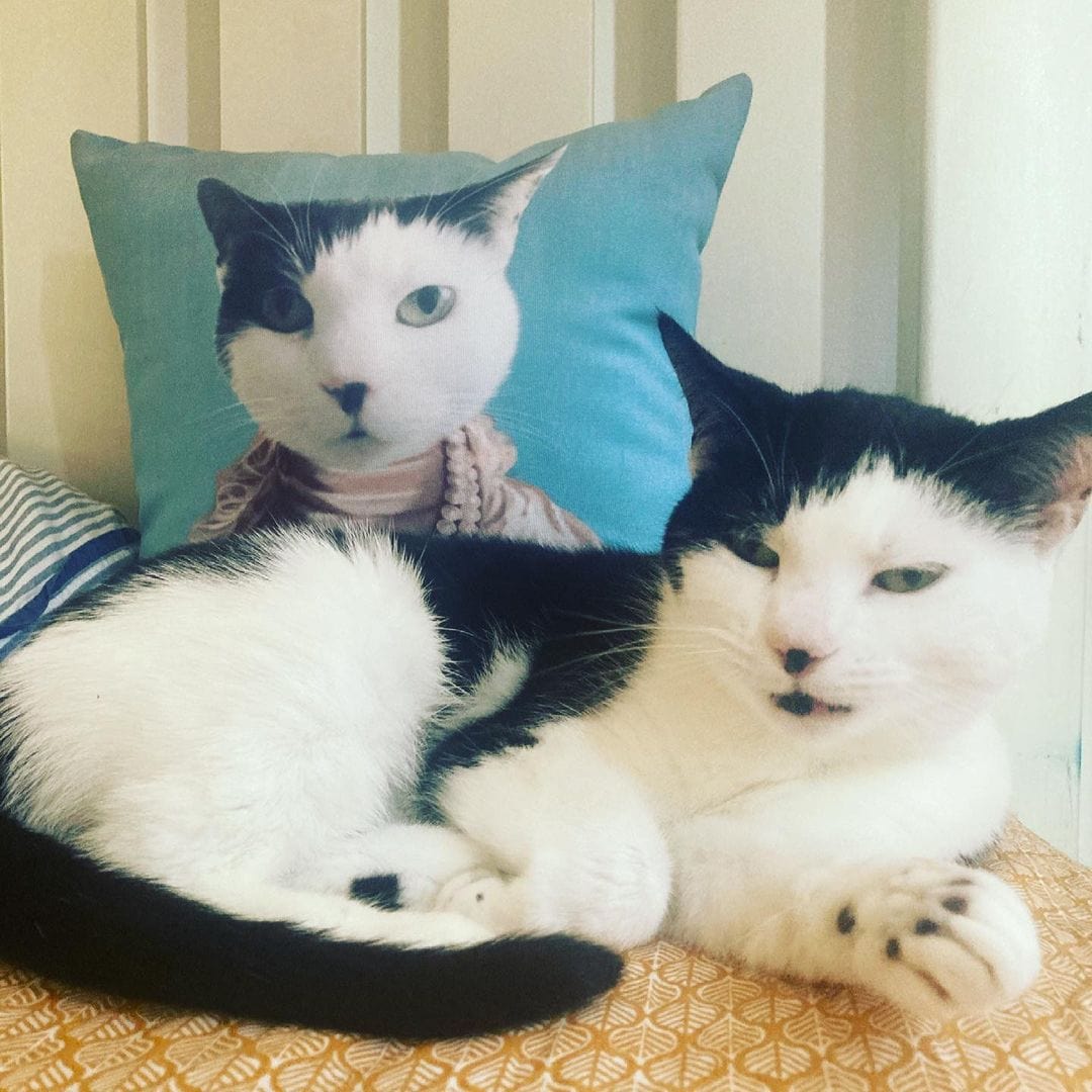 The Queen Regent - Custom Throw Pillow