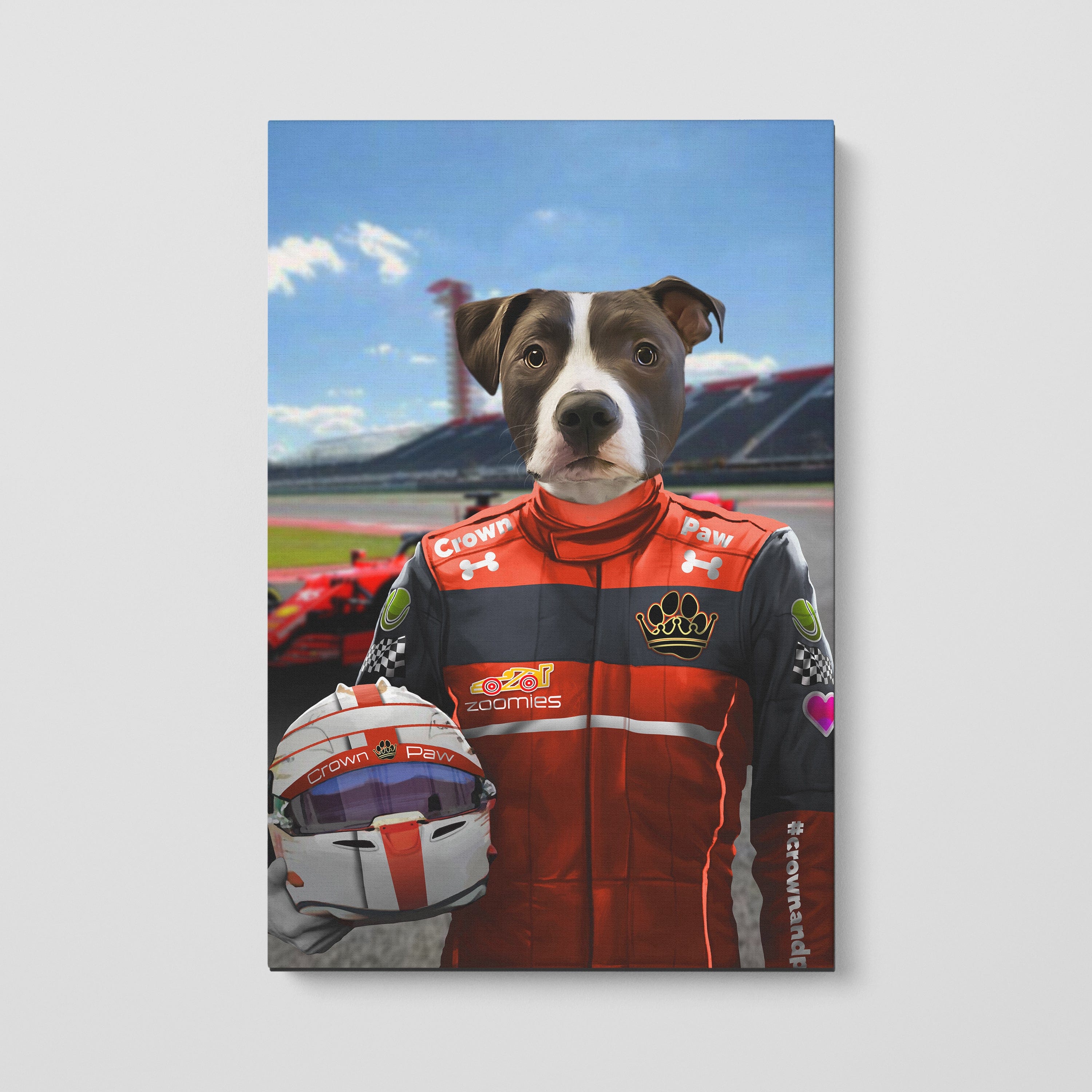 The Red Driver - Custom Pet Canvas