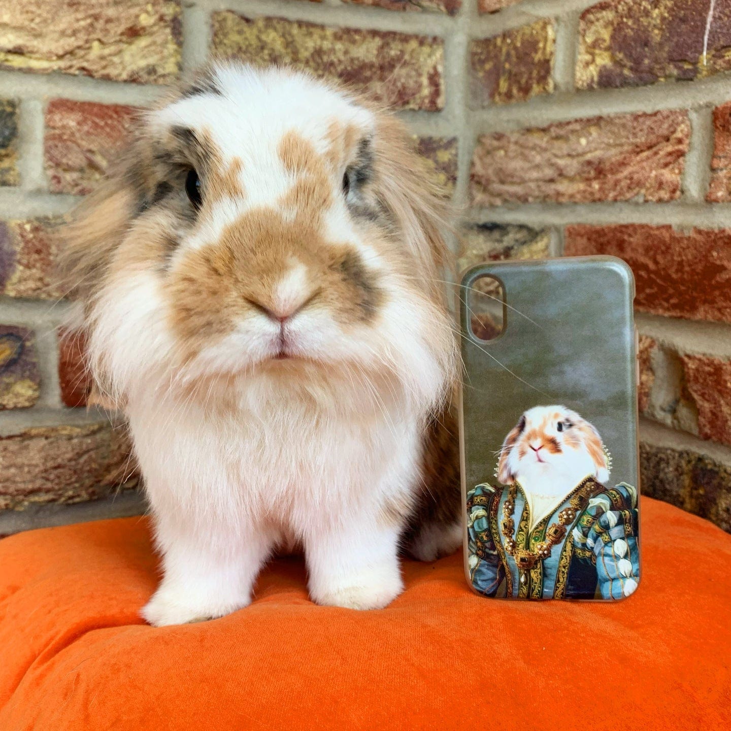 The Sapphire Queen - Custom Pet Phone Case