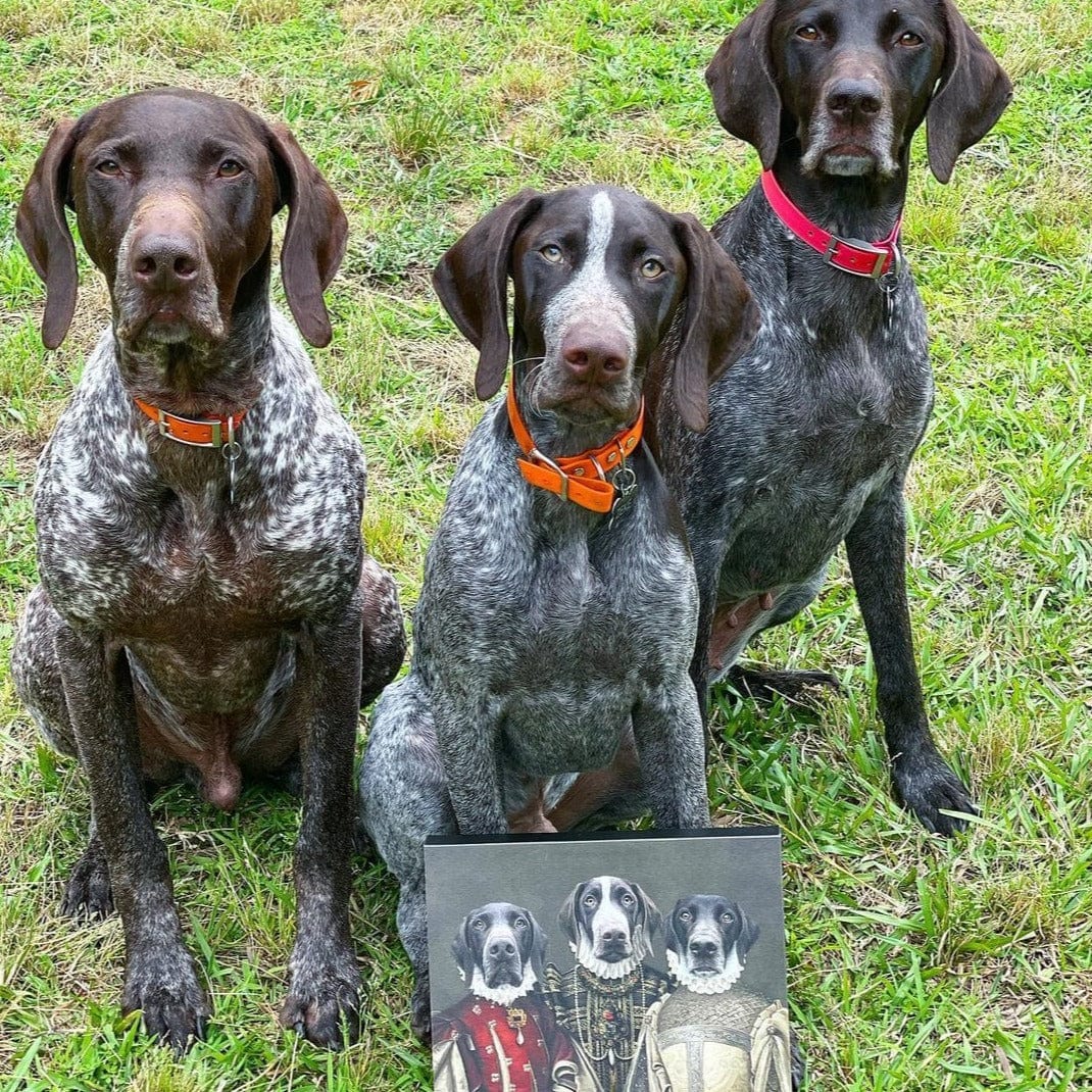 The Three Queens - Custom Pet Canvas