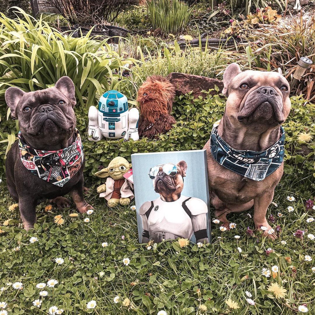 The Trooper - Custom Pet Canvas