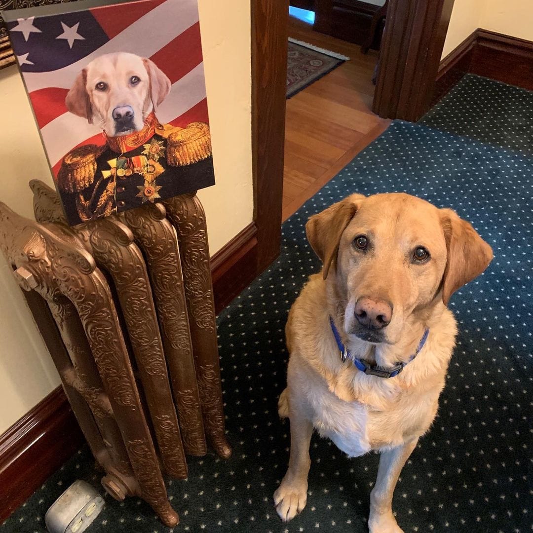 The Veteran - USA Flag Edition - Custom Pet Canvas