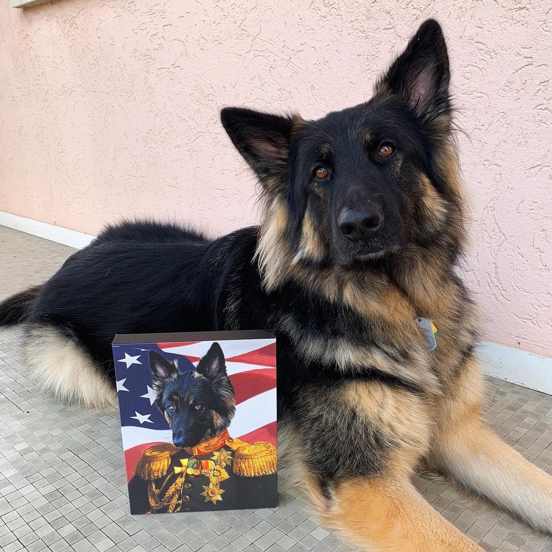 The Veteran - USA Flag Edition - Custom Pet Canvas