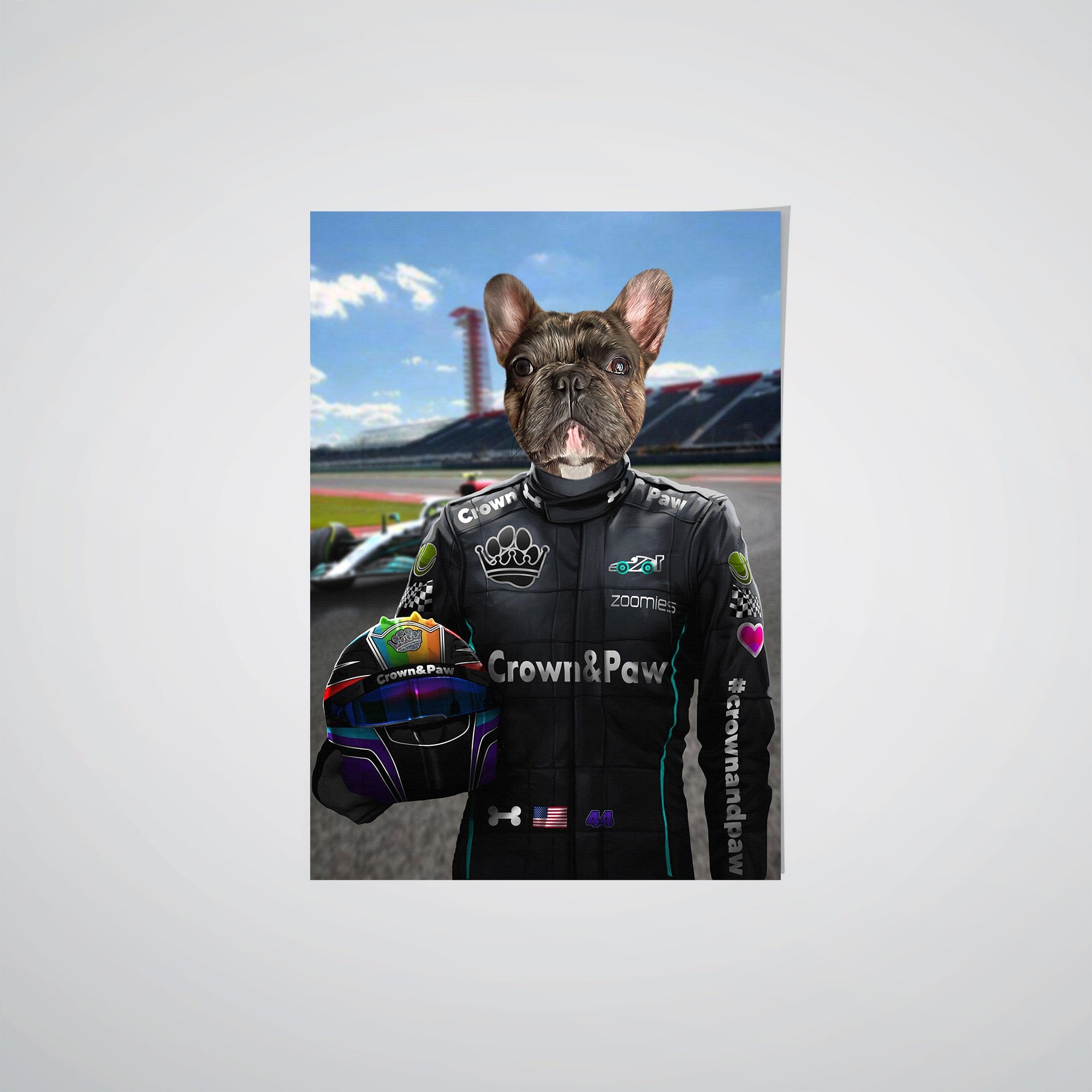 The Veteran Driver - Custom Pet Poster