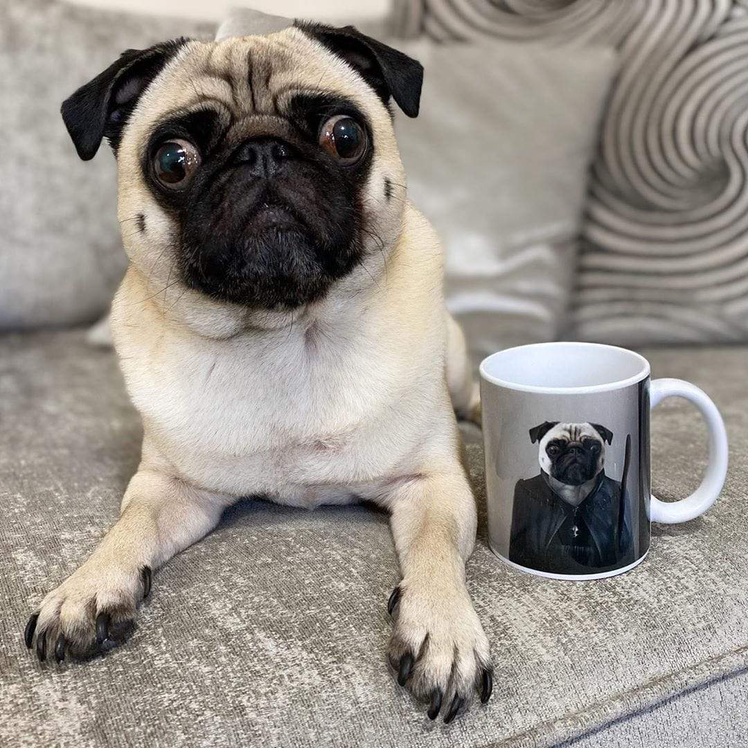 Custom Royal and Paws Halloween Pet Portrait