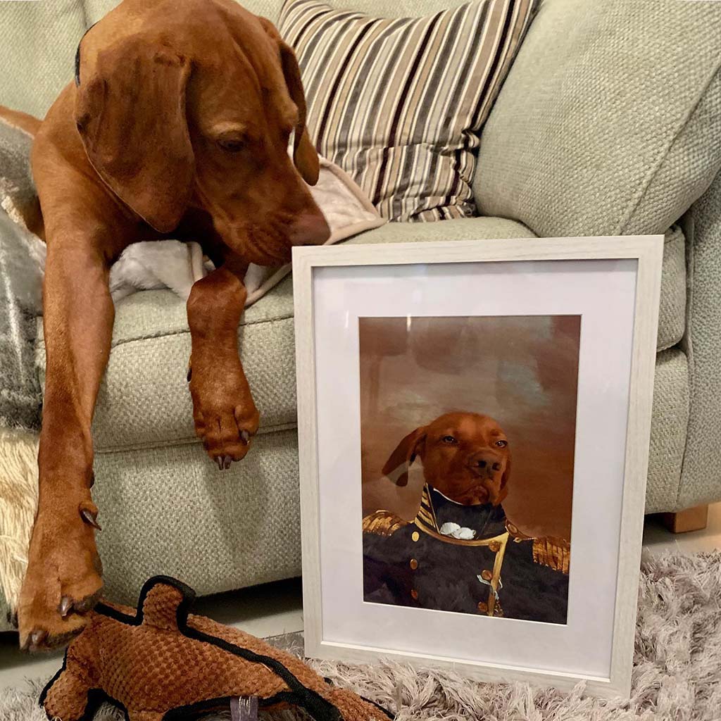 The Admiral - Custom Pet Poster