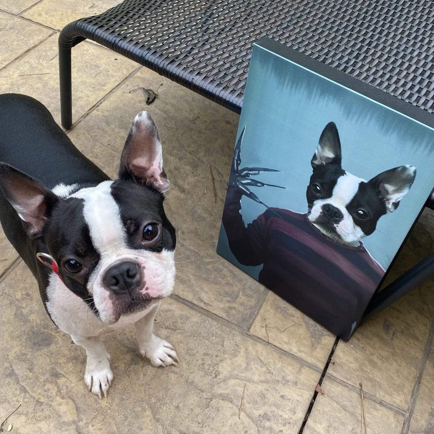 Custom Royal and Paws Halloween Pet Portrait