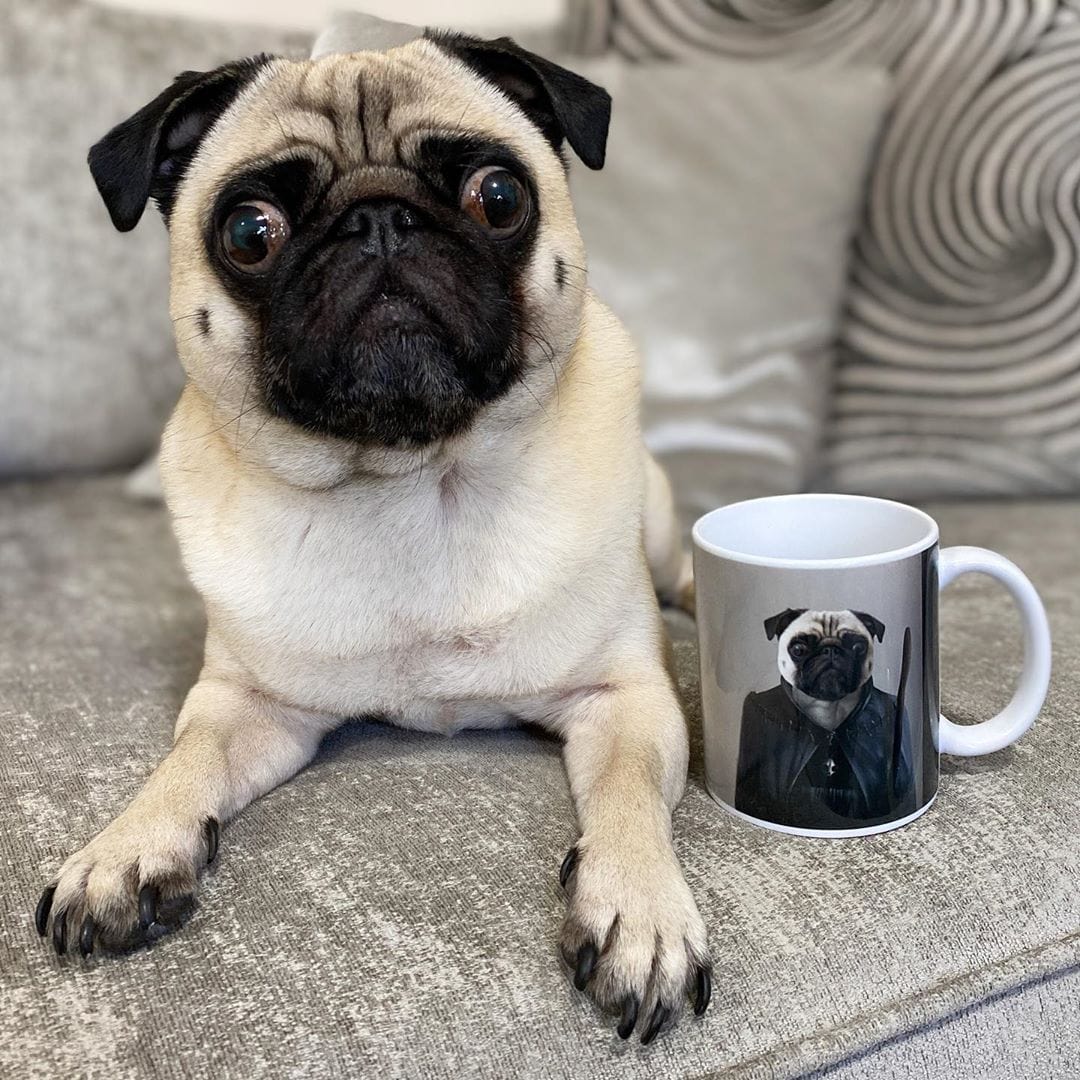 The Witch - Custom Pet Mug