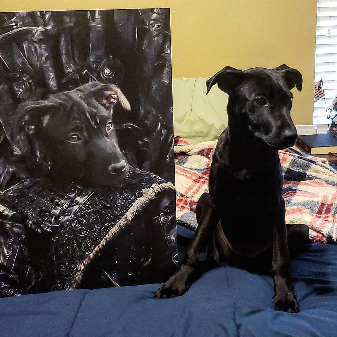 The Lone Wolf - Custom Pet Canvas