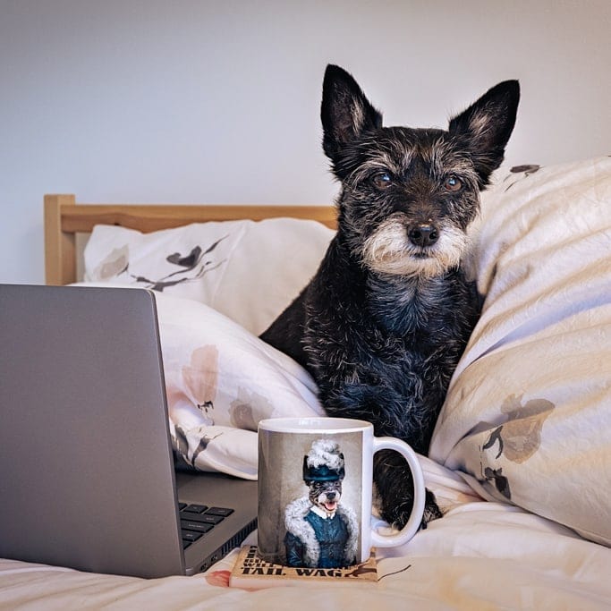 The Boa Lady - Custom Mug