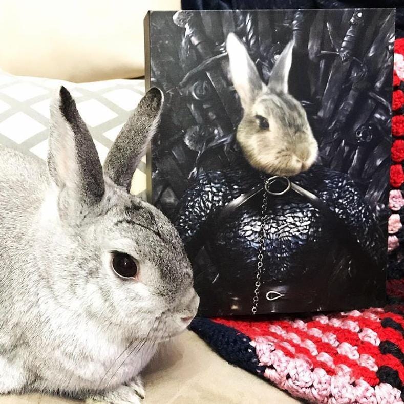 The Lady of the North - Custom Pet Canvas