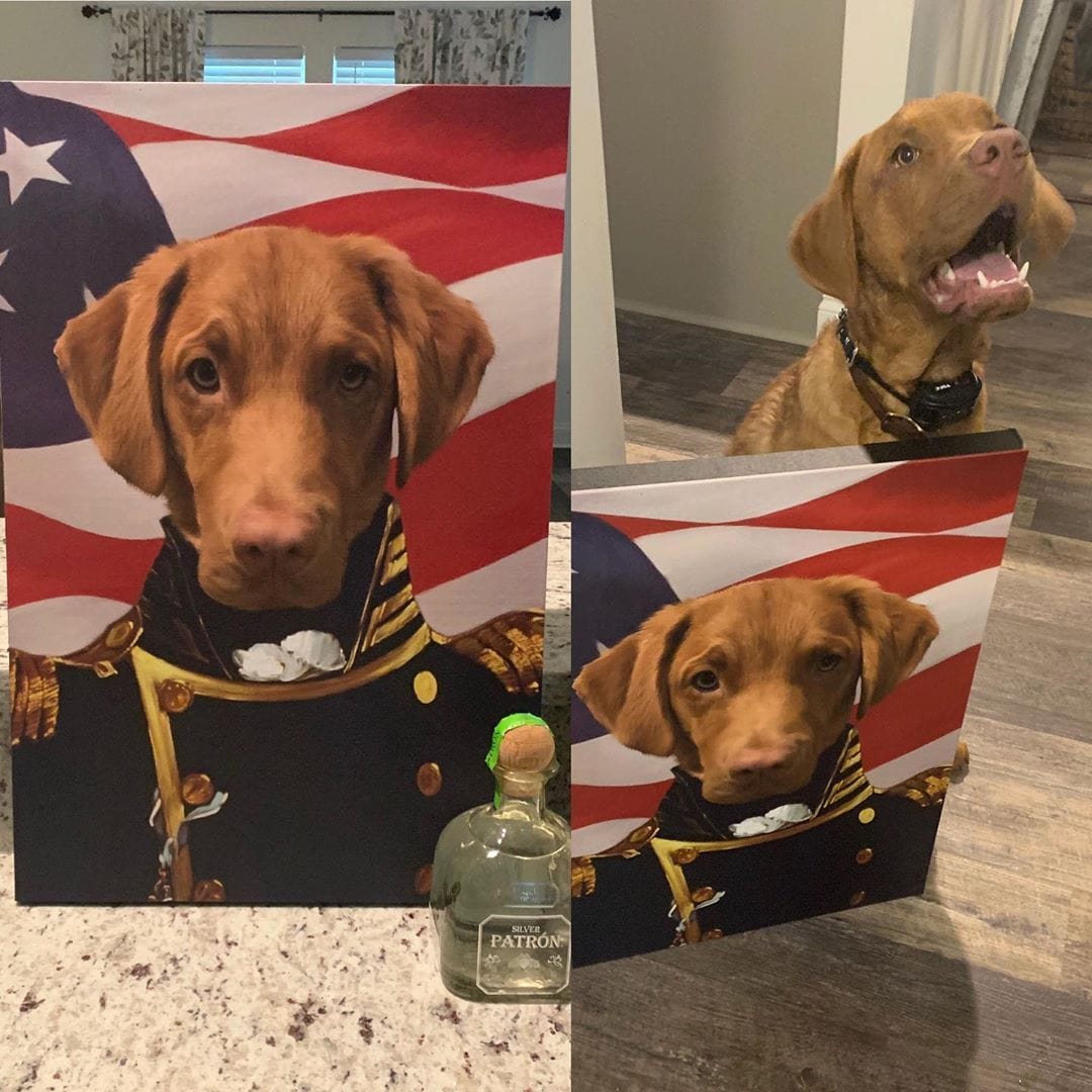 The Admiral - USA Flag Edition - Custom Pet Canvas