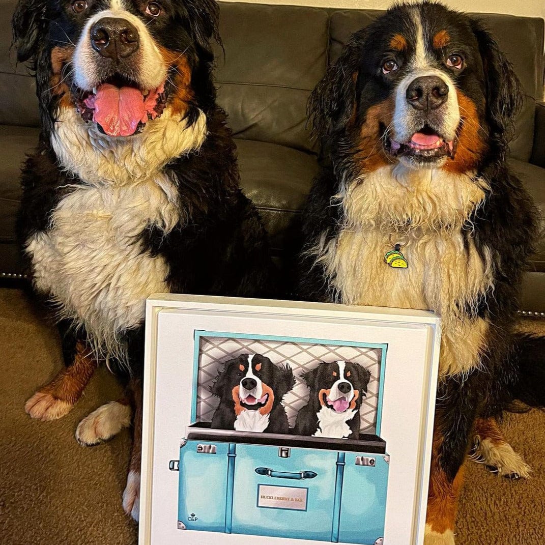 Baby Blue Luxury Trunk Pet Portrait