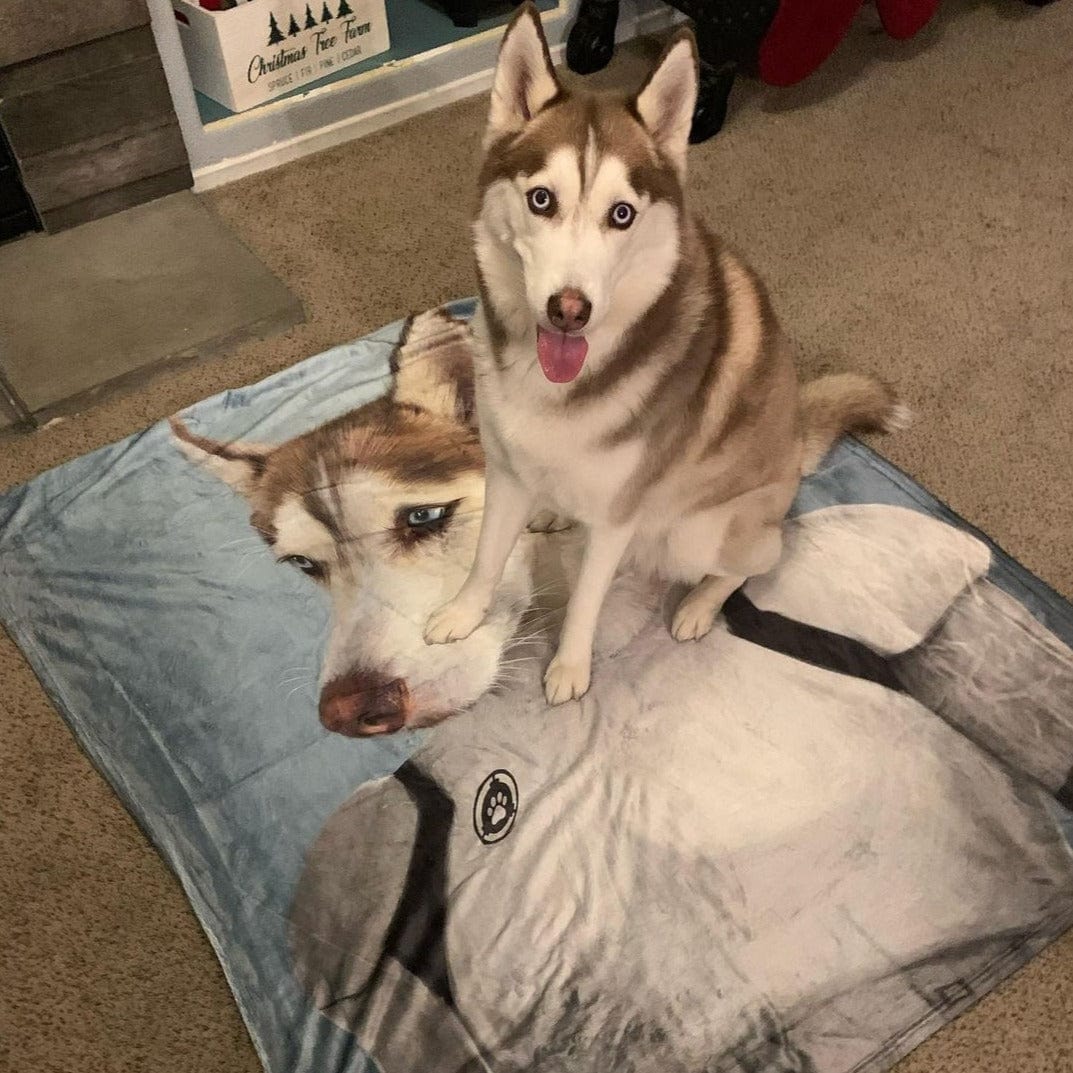 The Trooper - Custom Pet Blanket