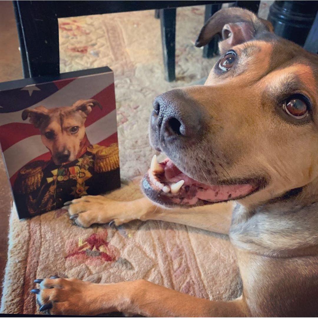 The Veteran - USA Flag Edition - Custom Pet Canvas