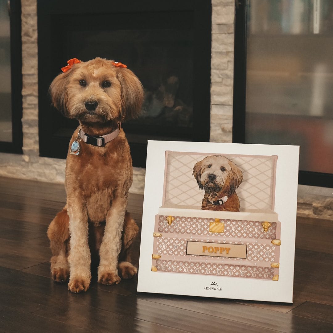 Bubblegum Pink Luxury Trunk Pet Portrait