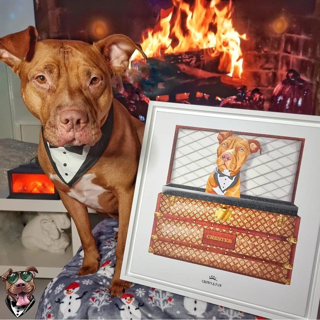 Classic Luxury Trunk Pet Portrait