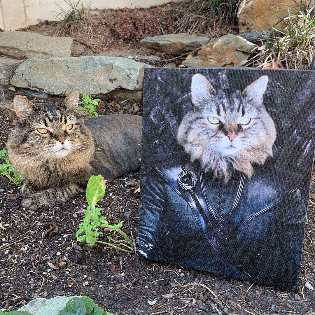 The Mother Of Dragons - Custom Pet Canvas