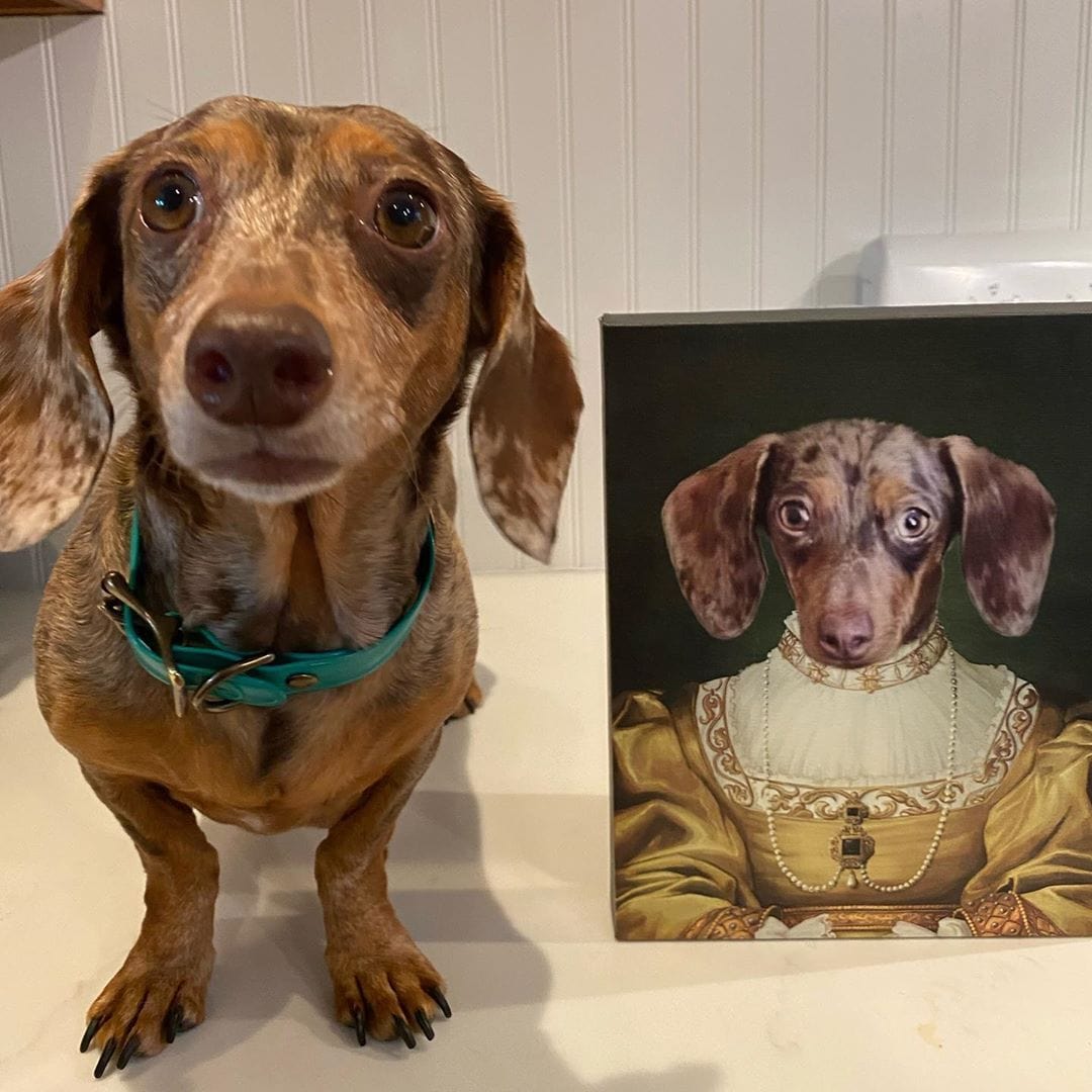 The Golden Girl - Custom Pet Canvas