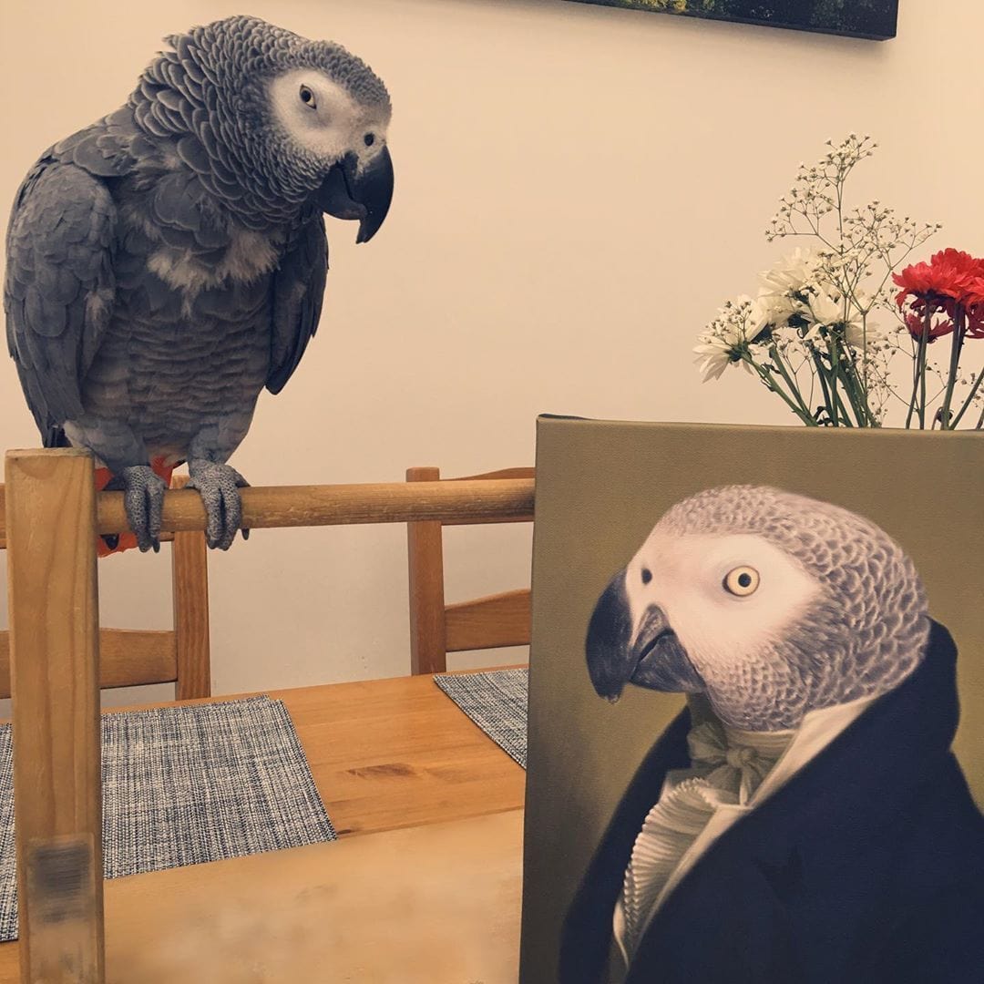The Ambassador - Custom Pet Canvas