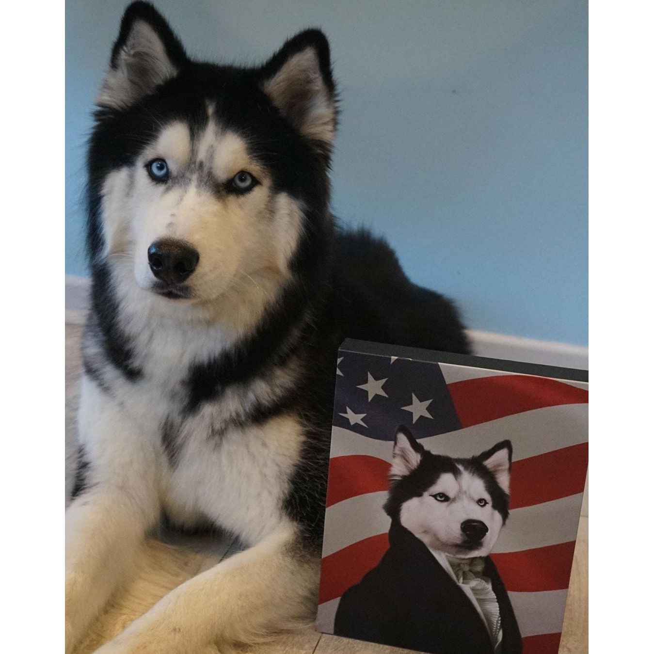 The Ambassador - USA Flag Edition - Custom Pet Canvas
