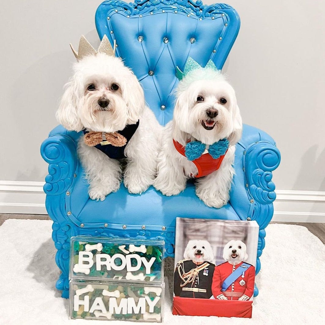 The English Princes - Custom Pet Canvas