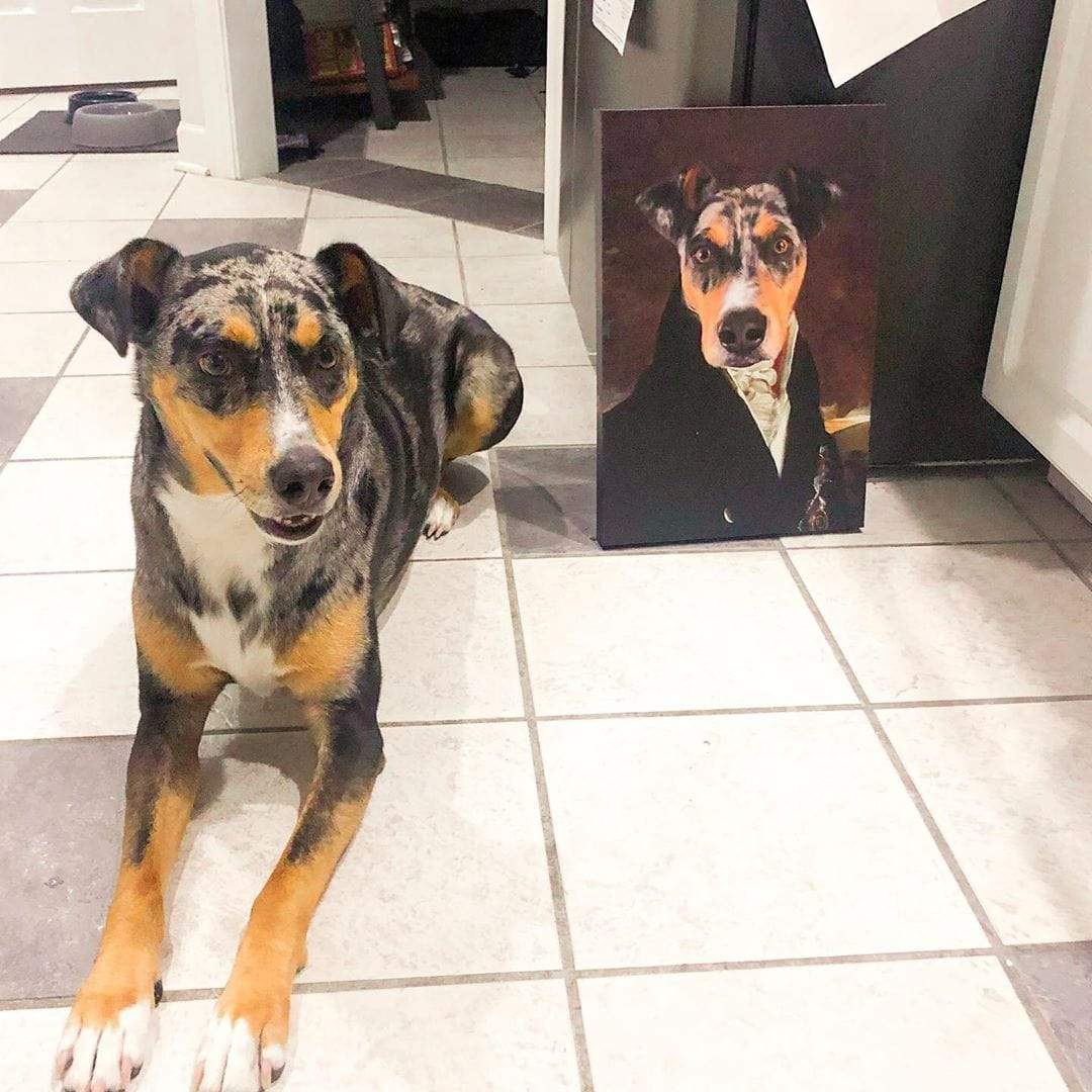 The Count - Custom Pet Canvas