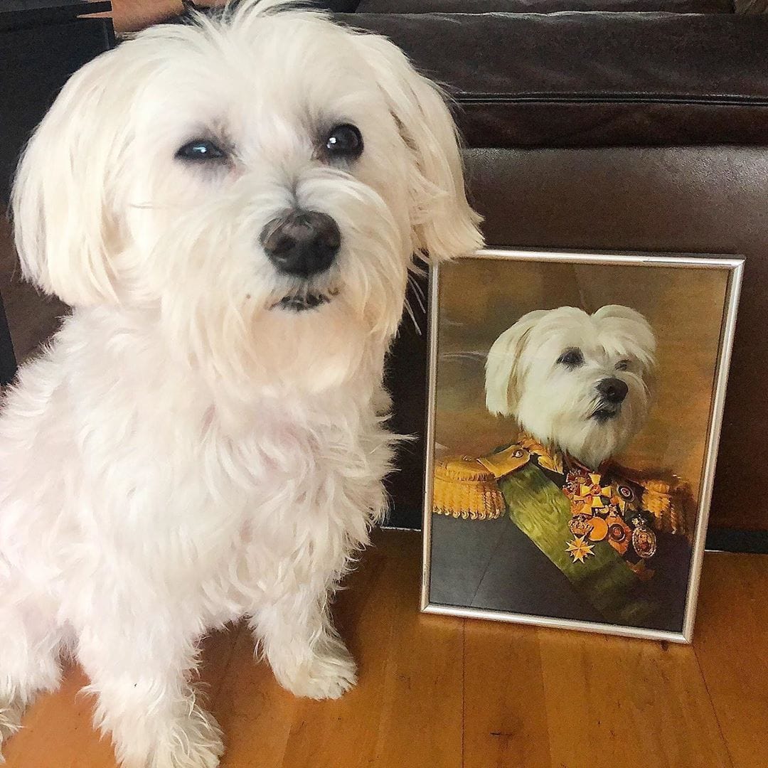 The Colonel - Custom Pet Poster