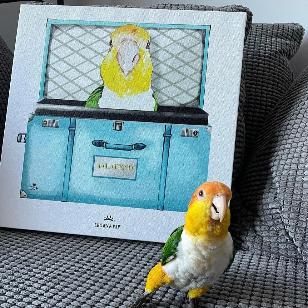 Baby Blue Luxury Trunk Pet Portrait