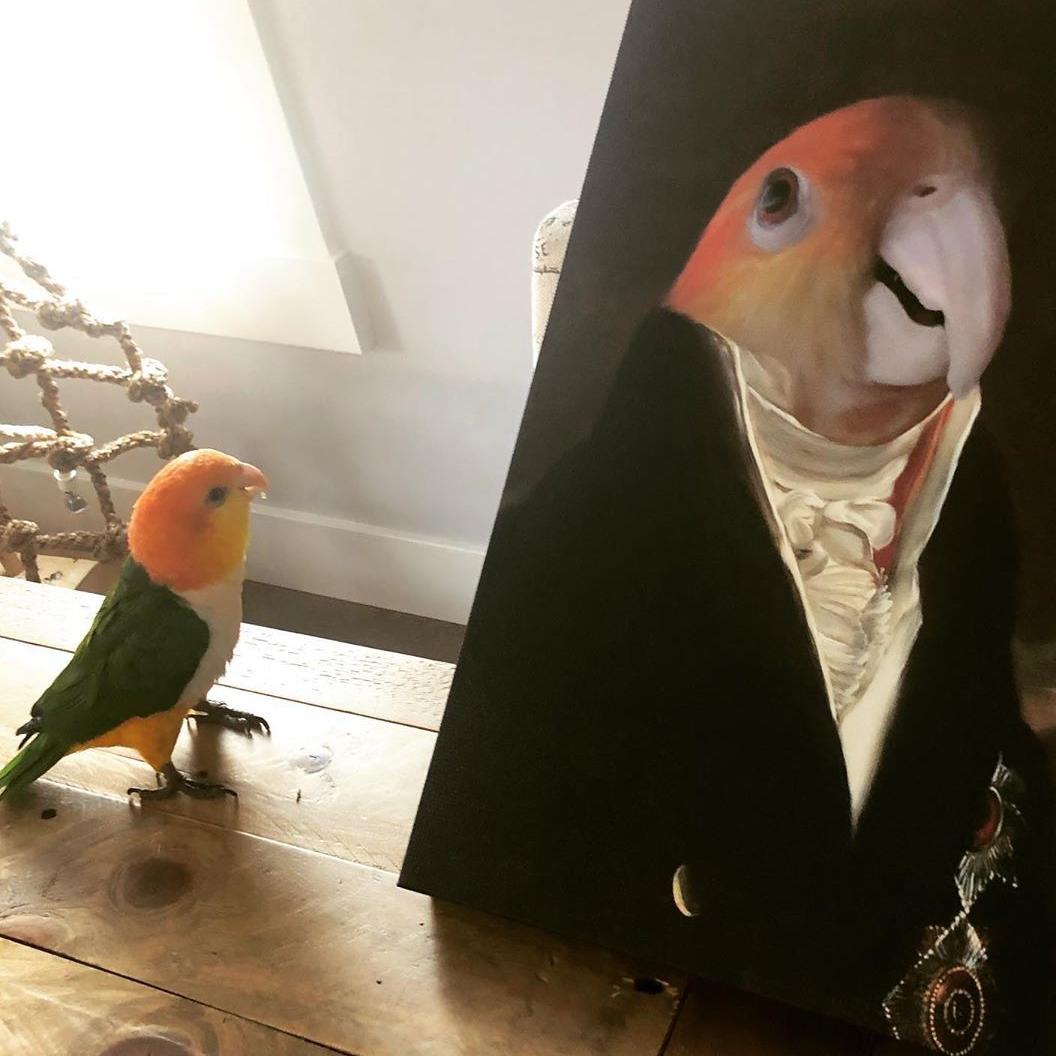 The Count - Custom Pet Canvas