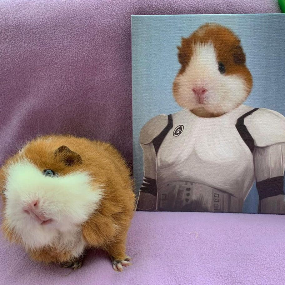 The Trooper - Custom Pet Canvas