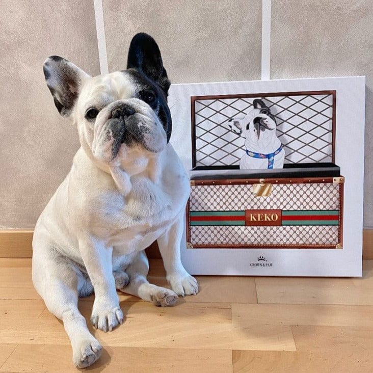 Boujee Luxury Trunk Pet Portrait