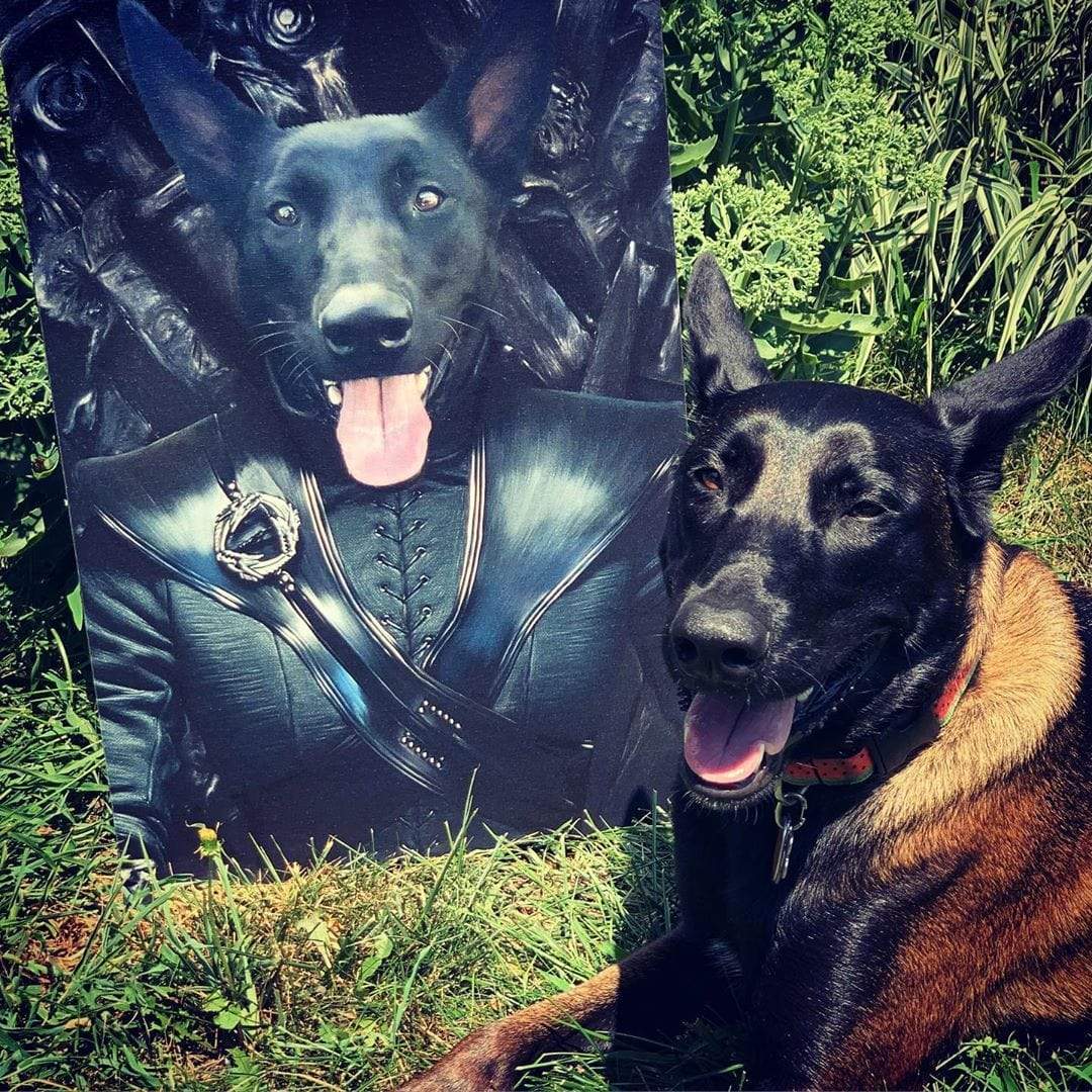 The Mother Of Dragons - Custom Pet Canvas