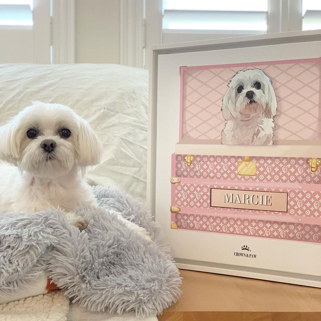 Bubblegum Pink Luxury Trunk Pet Portrait
