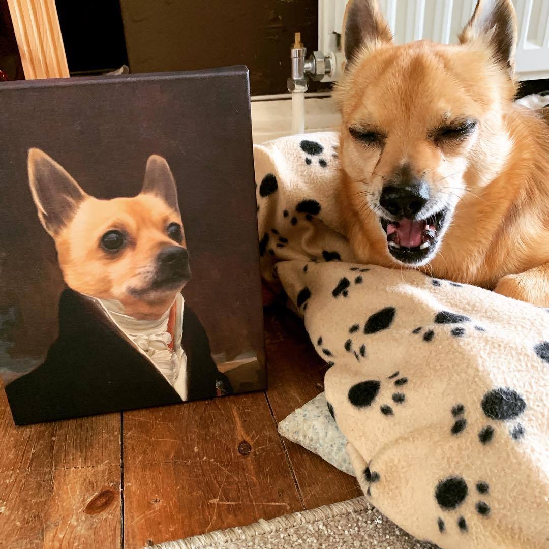 The Count - Custom Pet Canvas
