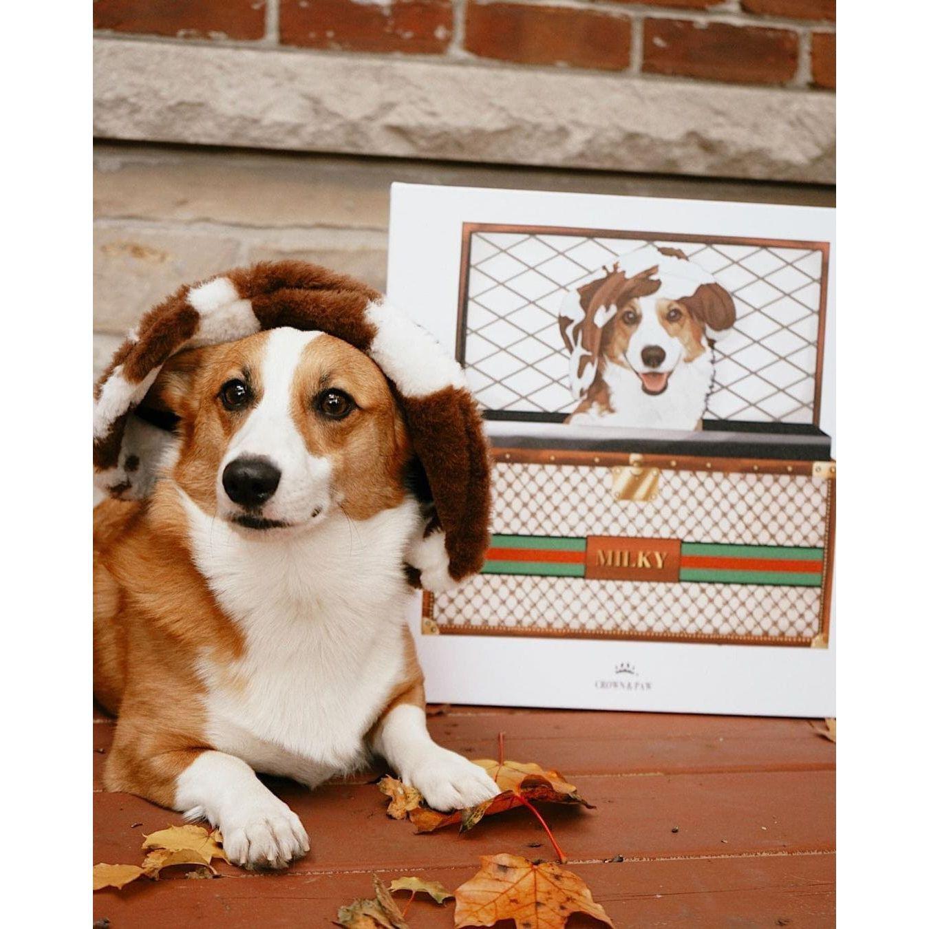 Boujee Luxury Trunk Pet Portrait