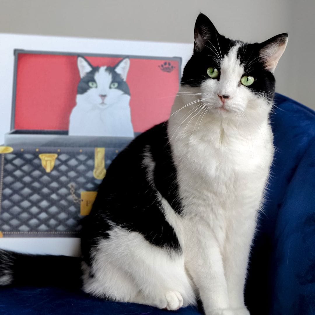 Black and Gold Luxury Trunk Pet Portrait