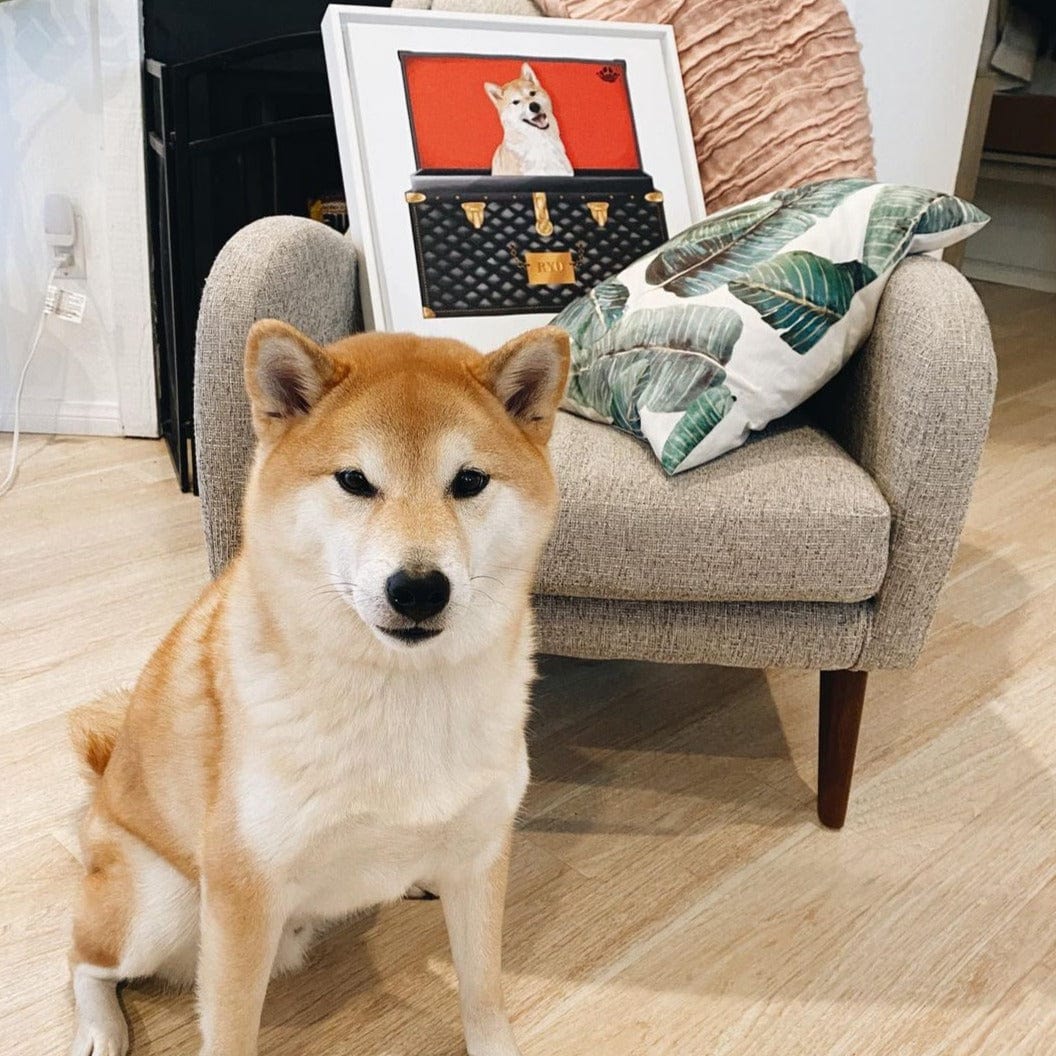 Black and Gold Luxury Trunk Pet Portrait