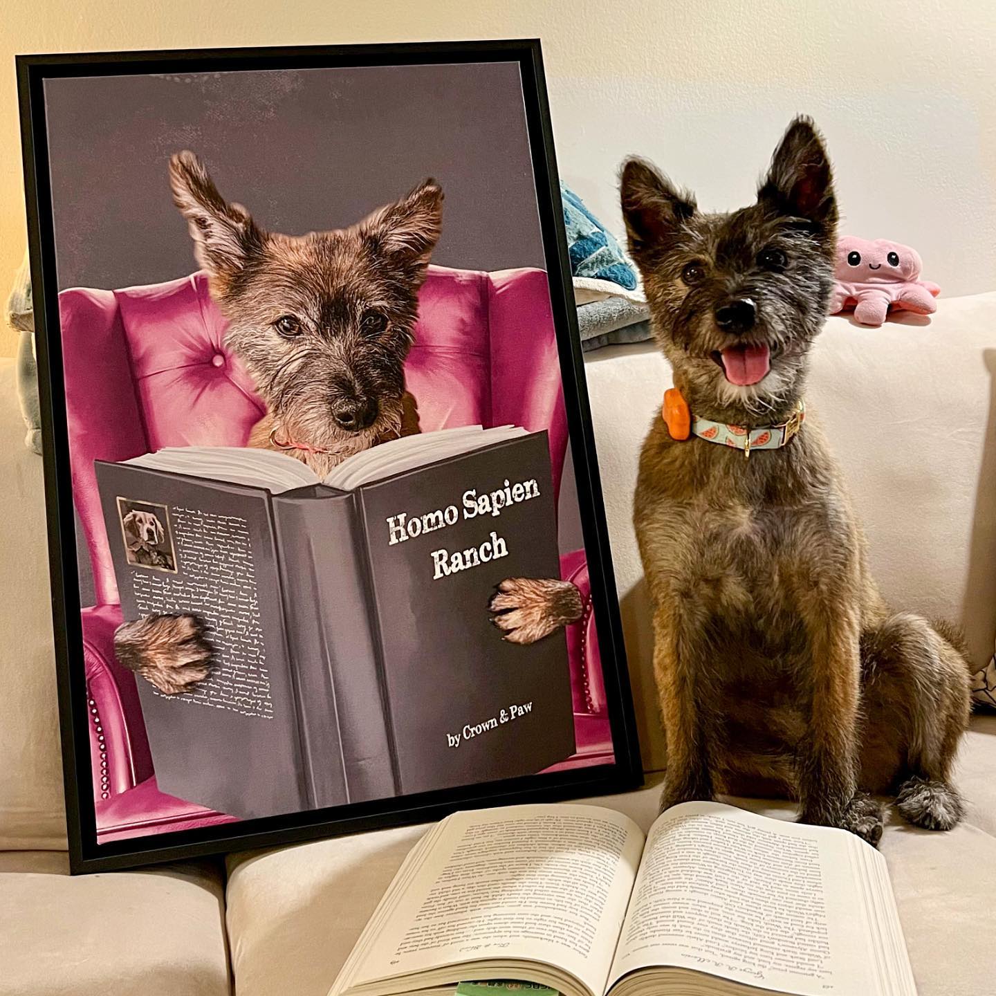 Custom Pet Reading a Book Portrait - Framed Poster