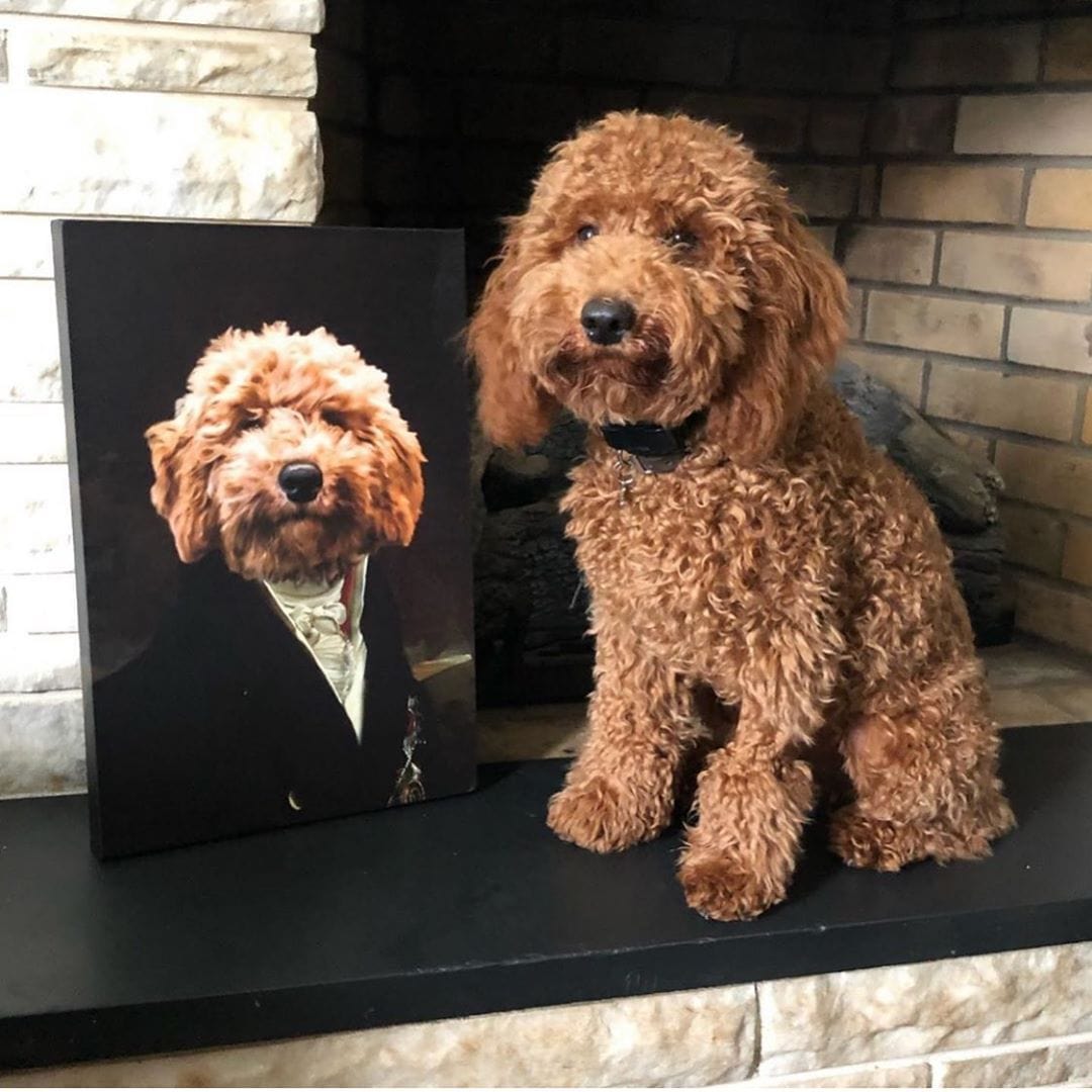 The Count - Custom Pet Canvas